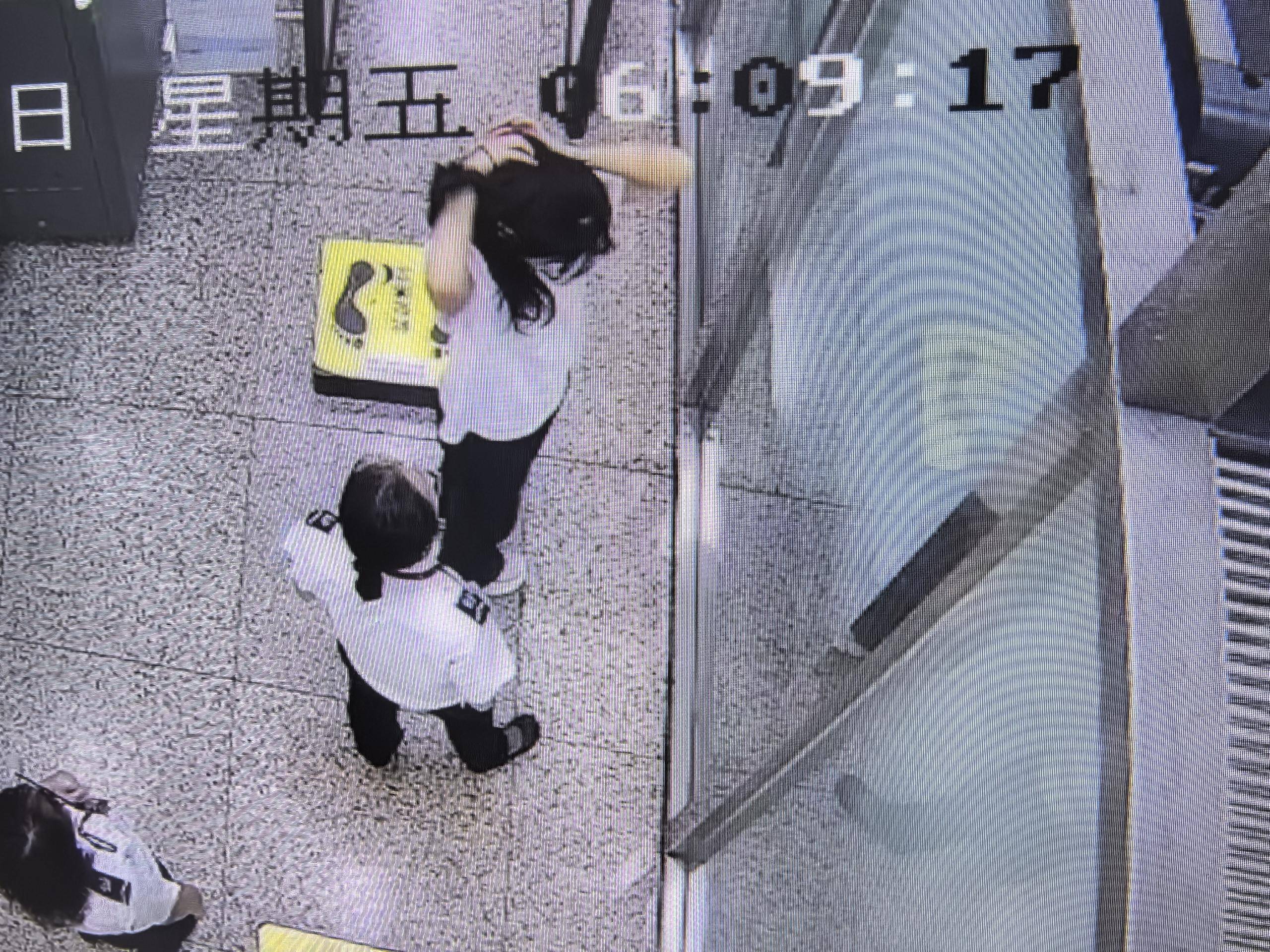 皇冠信用網怎么申请_女子将宠物乌龟藏在蝴蝶结盘发内皇冠信用網怎么申请,过安检乘飞机时被查 警方:批评教育