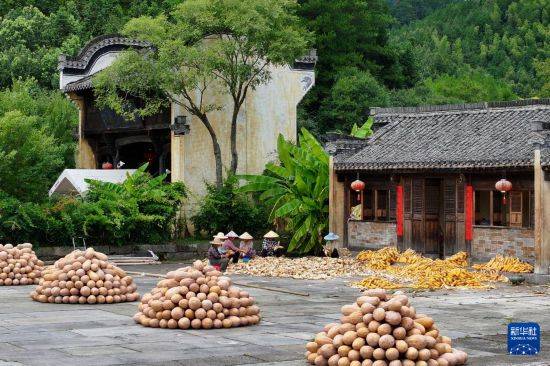 皇冠信用开户
_立秋农事正当忙