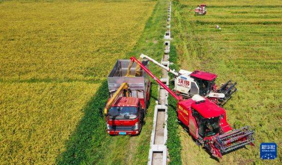 皇冠信用开户
_立秋农事正当忙