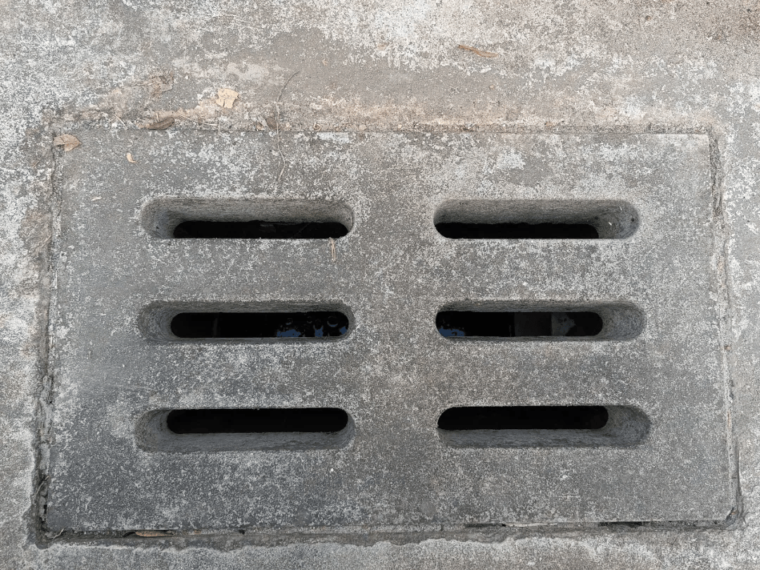 皇冠信用网账号注册_家里的这几个地方皇冠信用网账号注册，正悄悄“养”出花斑蚊！快自查→