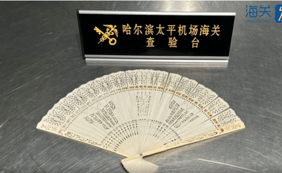 正网皇冠信用網_一旅客因一把“漂亮折扇”在哈尔滨机场被查!经鉴定:非洲象象牙制品正网皇冠信用網,净重61.7克