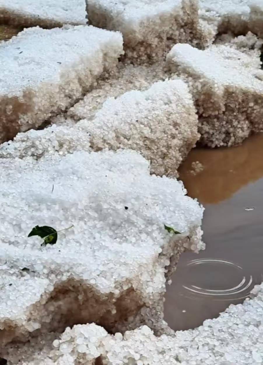 奥雷布洛vs乌米亚_甘肃夏河县遭遇冰雹袭击：有游客称持续大半个小时奥雷布洛vs乌米亚，当地人称“十年不遇”