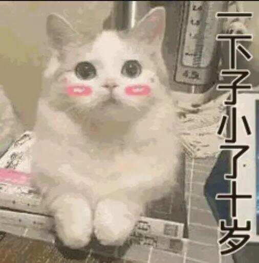 布拉加U23 vs维赛拉U23_79岁老伯为见其相亲对象“翠花”布拉加U23 vs维赛拉U23，将身份证改小10岁 被发现后不忘叮嘱民警“能不能不告诉她”