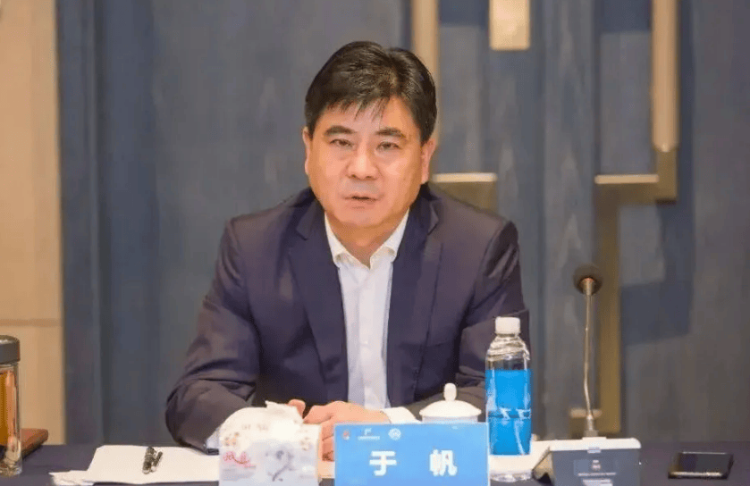 意大利甲组联赛_区委常委被查2天后意大利甲组联赛，区长官宣落马