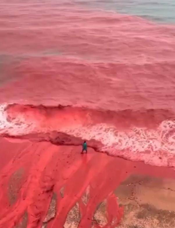 皇冠信用盘结算日是哪天
_罕见!伊朗霍尔木兹岛遭遇强降雨皇冠信用盘结算日是哪天
,部分海域变成“血色海洋”