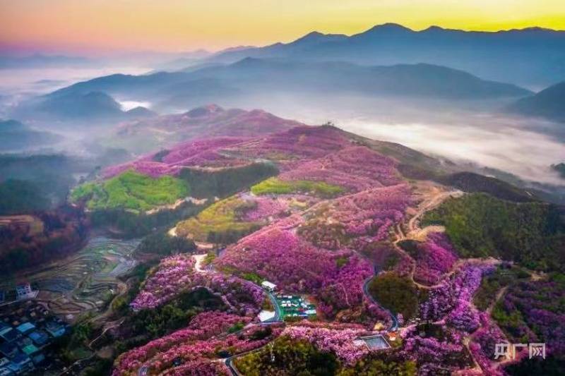 信用網怎么开户
_200余场活动+多重福利 三明邀您“过年马上有福”