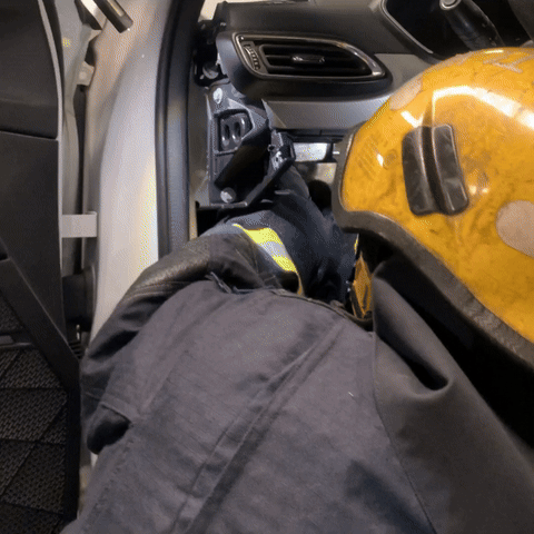 世界杯足球平台代理_杭州一车主崩溃求救:车上有只“超凶大老鼠”世界杯足球平台代理!消防员苦战20分钟发现竟是……