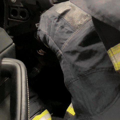 世界杯足球平台代理_杭州一车主崩溃求救:车上有只“超凶大老鼠”世界杯足球平台代理!消防员苦战20分钟发现竟是……