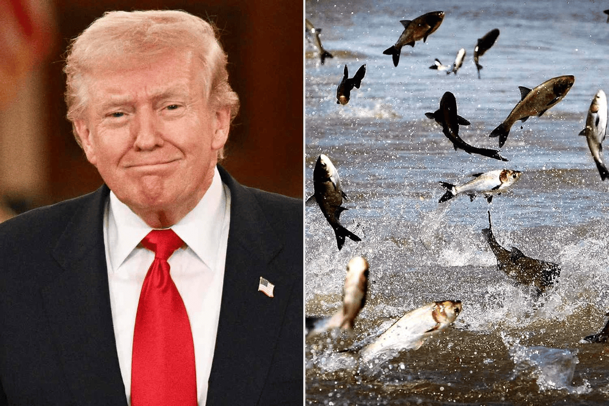 皇冠信用盘怎么申请
_特朗普又有了新敌人!高调宣战亚洲鲤鱼皇冠信用盘怎么申请
,这次总不能再输了