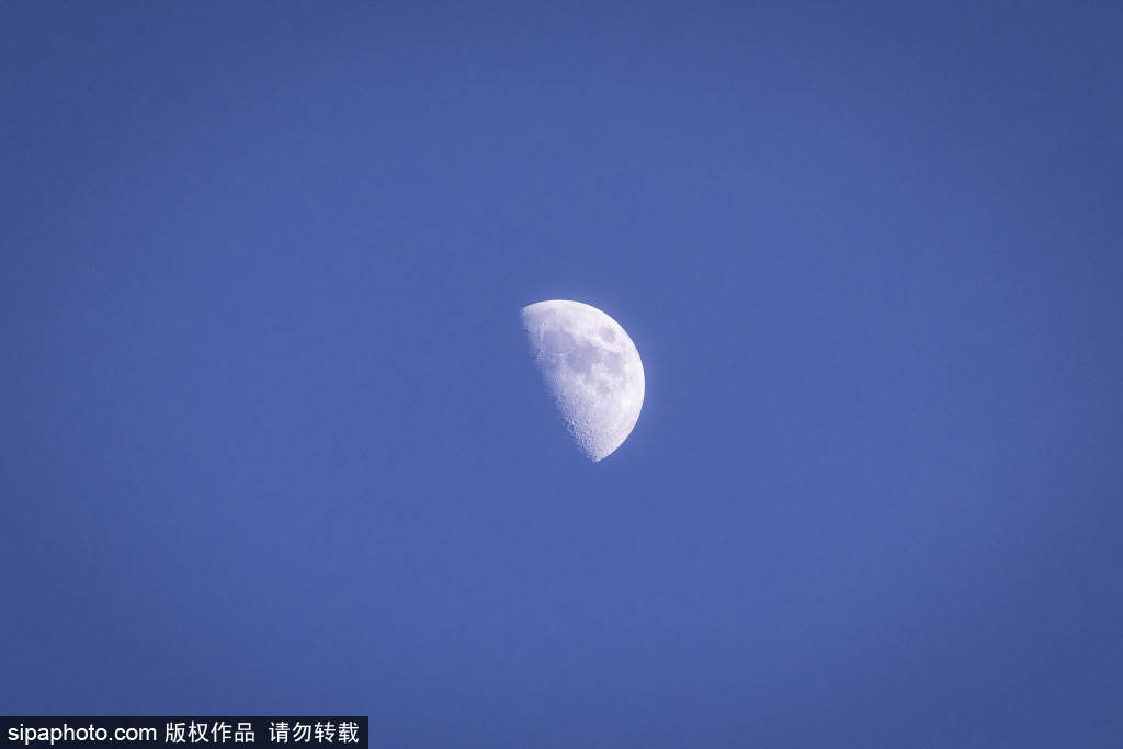 世界盃官網_惊天爆料！西罗·洛佩斯：穆里尼奥赛季末将重返皇马世界盃官網，救赎伯纳乌“姆巴佩时代”的沉沦？