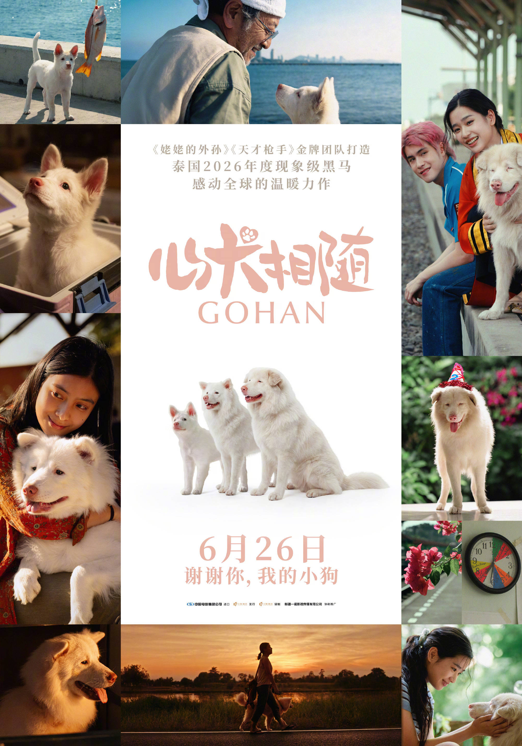 世界杯买球网址_泰国现象级票房黑马《心犬相随》内地定档6月26日 《天才枪手》《姥姥的外孙》团队打造