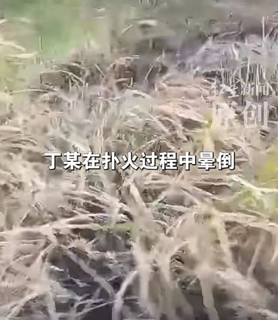 2026世界杯赛程_9岁女孩点燃野草2026世界杯赛程，父亲扑火时因热射病身亡，家属：有人要求他灭火后才能离开