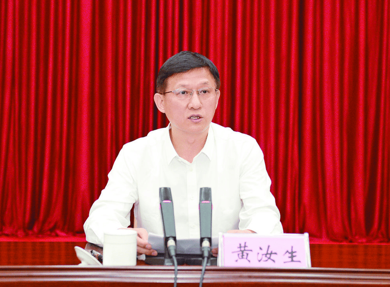 世界杯八强_百色市委书记黄汝生已任广西壮族自治区政府党组成员