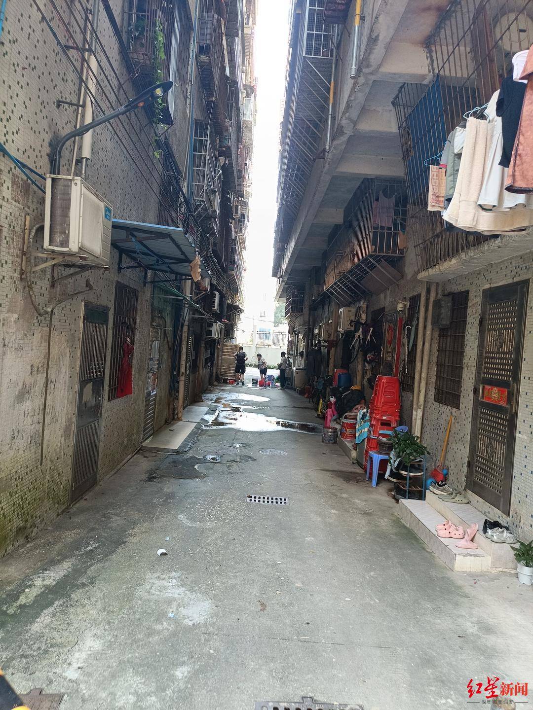 皇冠正网_“梅姨”落网始末：40年里皇冠正网，她从母亲变为贩童中间人，被抓时还欠一个月房租