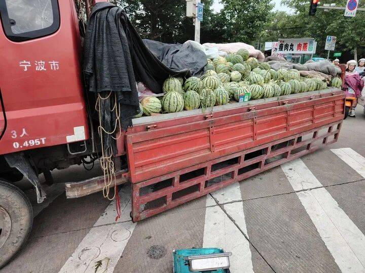 皇冠信用盤 _宁波夜市西瓜砸人事件已调解成功皇冠信用盤 ，男子赔偿近7万元 摊主父亲：佩服儿子能忍住不还手，其实他平时脾气暴躁