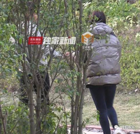 皇冠app_她好像真的未婚先孕了皇冠app？全网都在猜孩子生父是谁