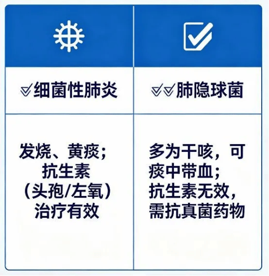 亚运会足球_普通抗生素完全无效！小伙为怀念童年阳台养鸡鸭亚运会足球，肺部长出空洞！